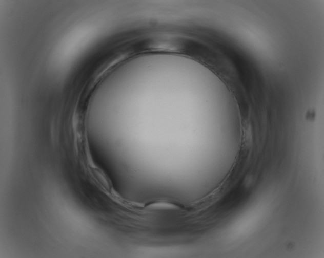 X0000092281487200710121353