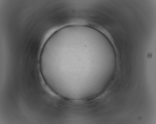 X0000092281488200710121353