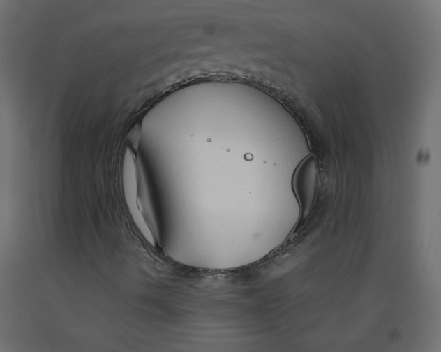 X0000092281490200710121353