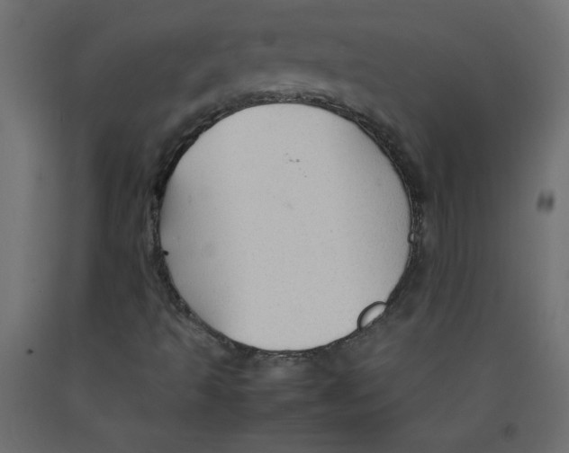X0000092281493200710121353