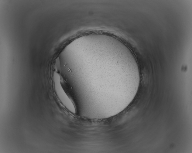 X0000092281494200710121353