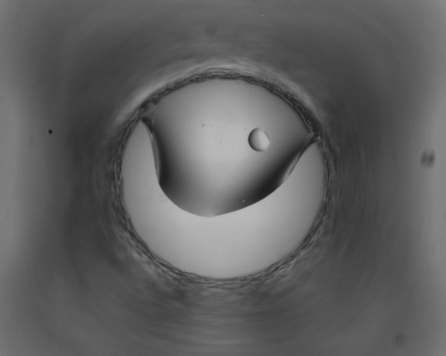 X0000092281496200710121353