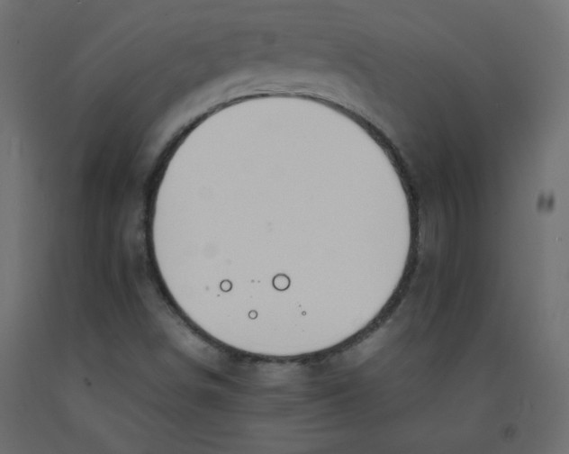X0000092281498200710121353