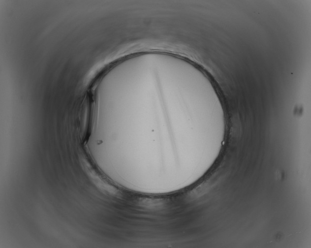 X0000092281499200710121353