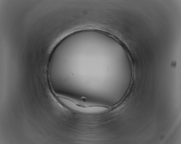 X0000092281500200710121353
