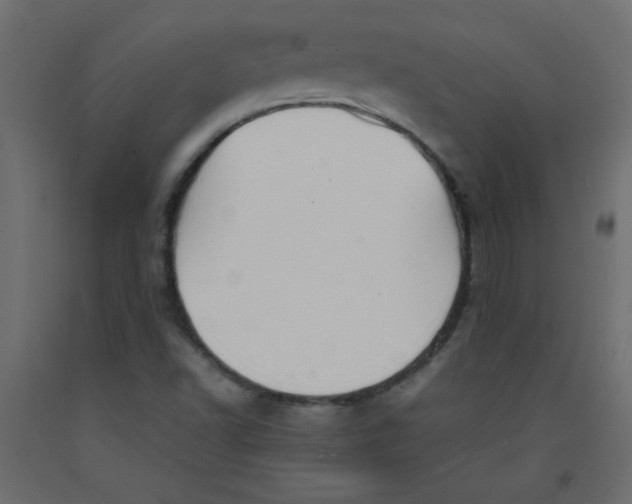 X0000092281502200710121353