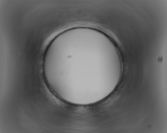 X0000092281504200710121353