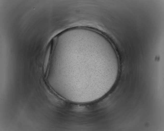 X0000092281505200710121353
