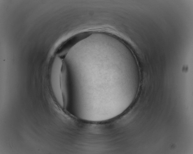 X0000092281506200710121353