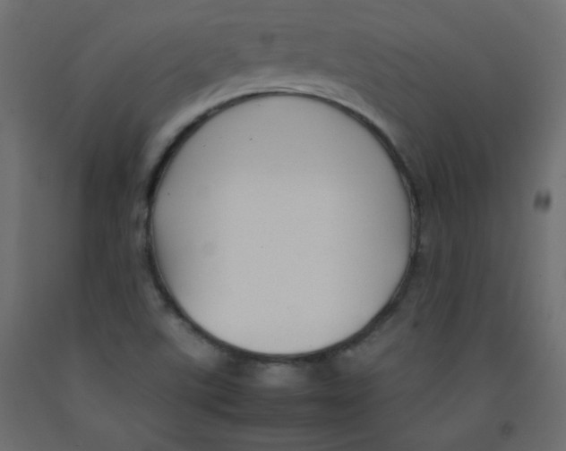 X0000092281507200710121353