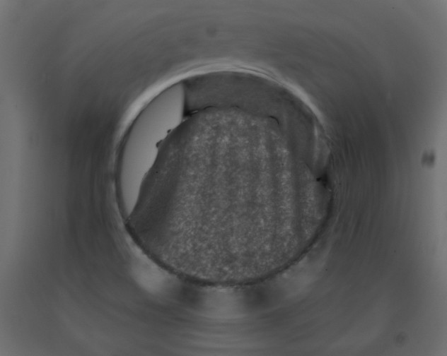 X0000092281508200710121353