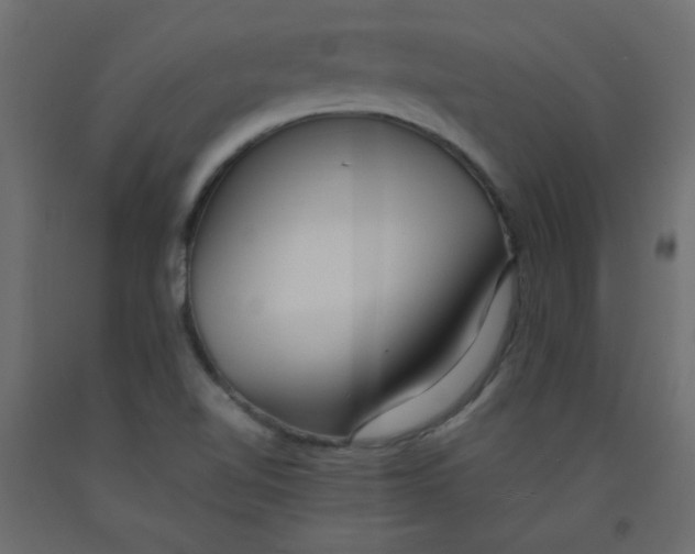 X0000092281510200710121353