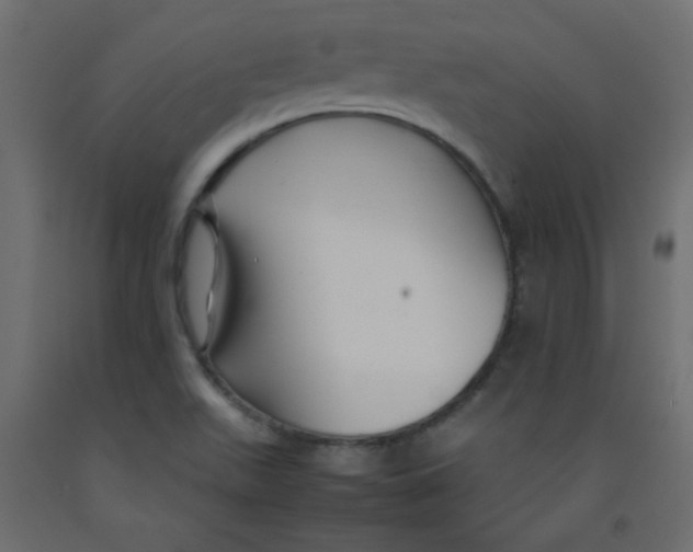 X0000092281511200710121353