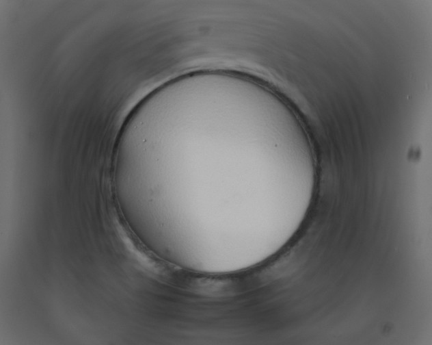 X0000092281513200710121353