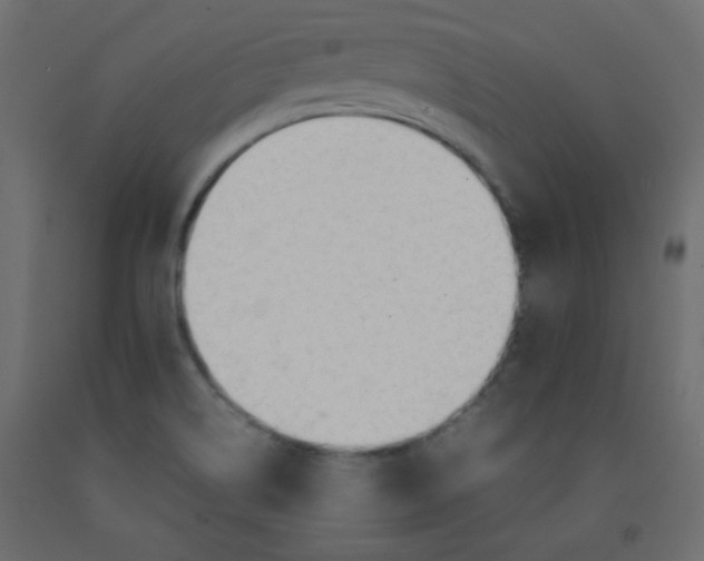 X0000092281514200710121353
