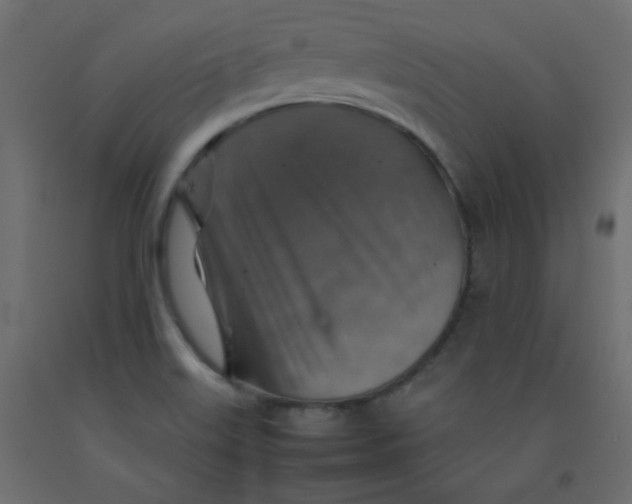 X0000092281515200710121353
