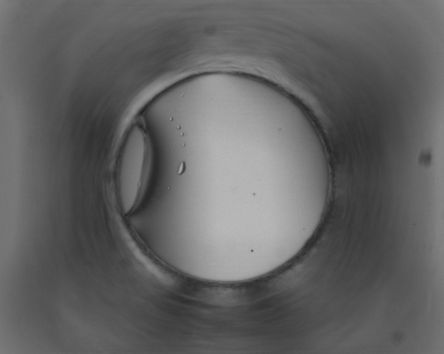 X0000092281517200710121353