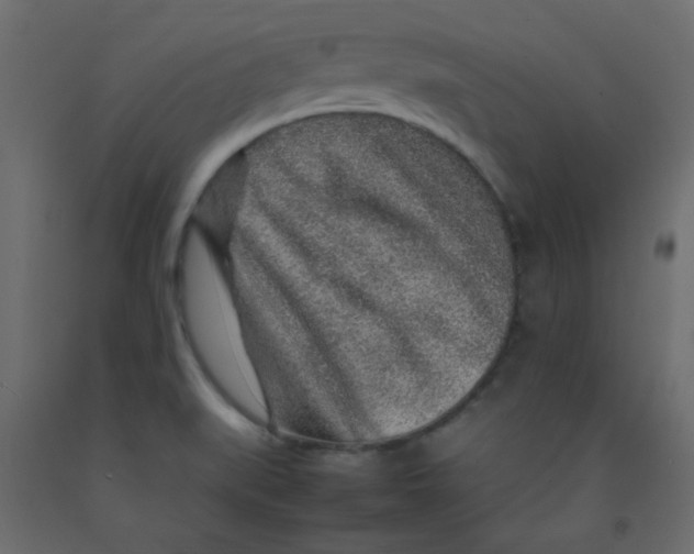 X0000092281519200710121353
