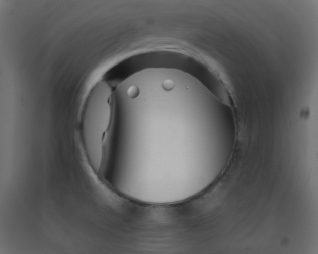 X0000092281520200710121353