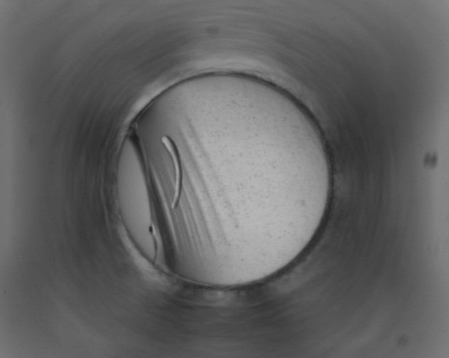 X0000092281521200710121353