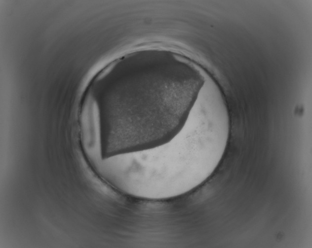 X0000092281522200710121353