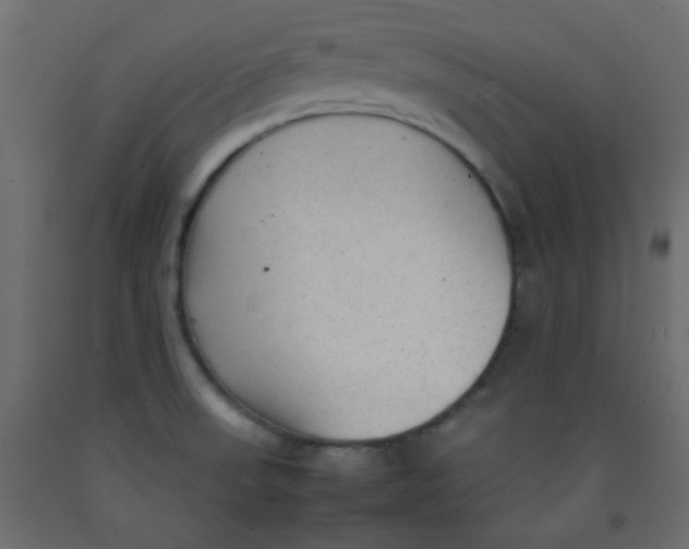 X0000092281523200710121353