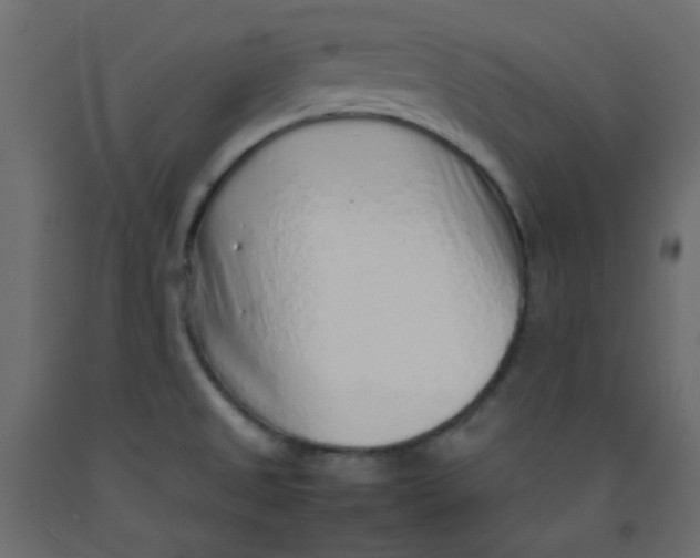 X0000092281525200710121353