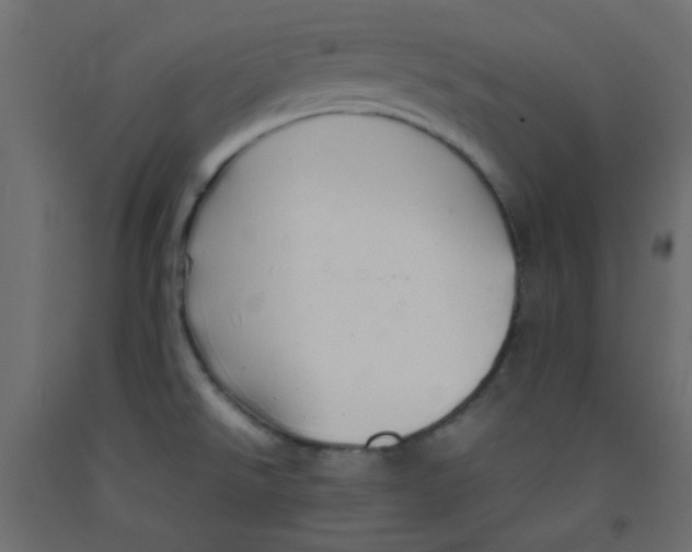 X0000092281526200710121353