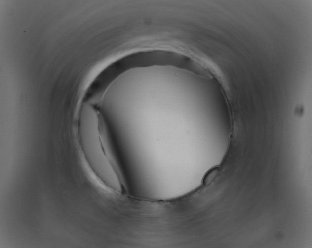 X0000092281528200710121353