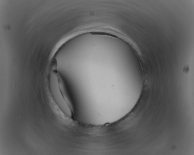 X0000092281530200710121353