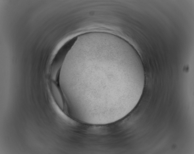 X0000092281531200710121353