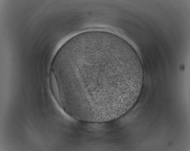 X0000092281533200710121353