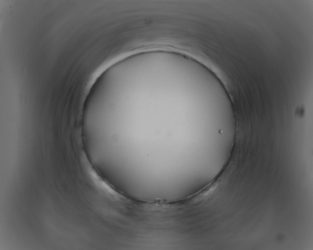 X0000092281534200710121353