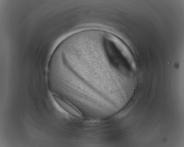 X0000092281535200710121353