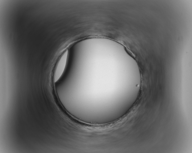 X0000092290005200709140949