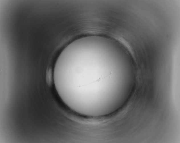 X0000092290020200709140949