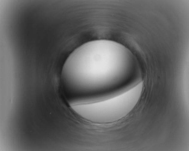 X0000092290039200709140948