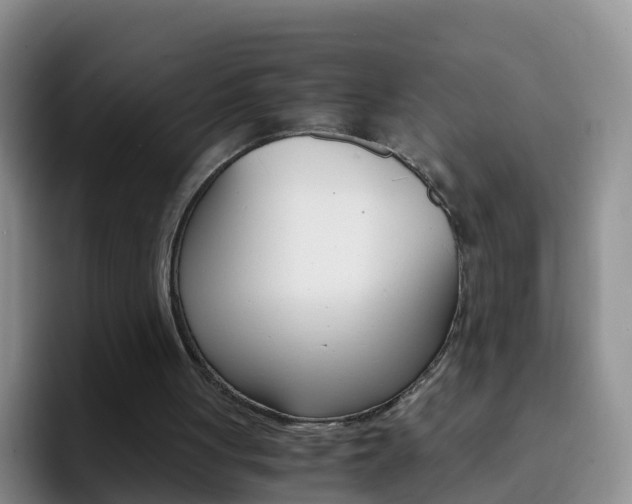 X0000092290051200709140948