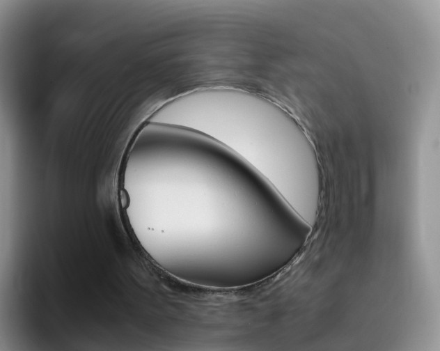 X0000092290099200709140948