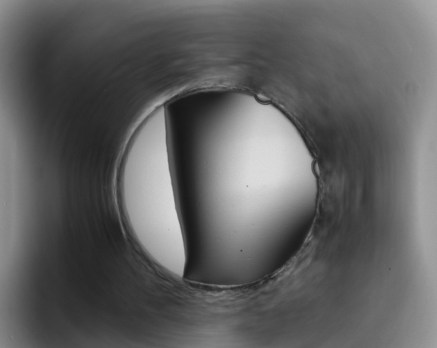 X0000092290100200709140948