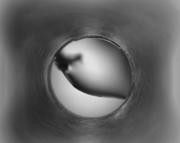 X0000092290103200709140948