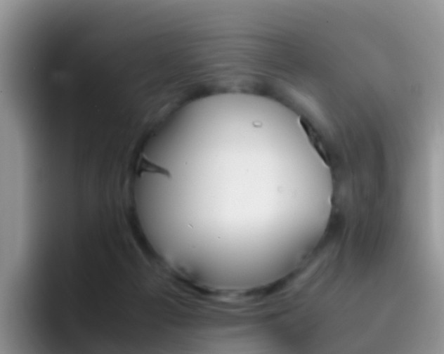 X0000092290121200709140947