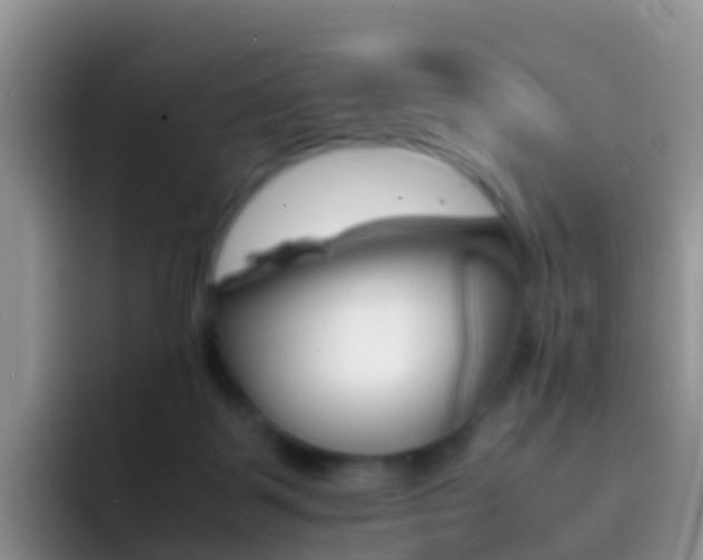 X0000092290123200709140947
