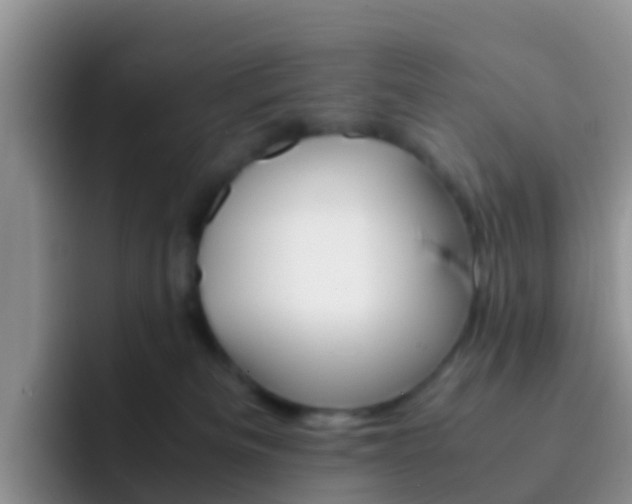 X0000092290133200709140947