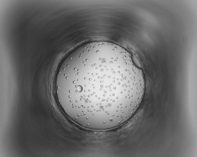 X0000092290145200709140947