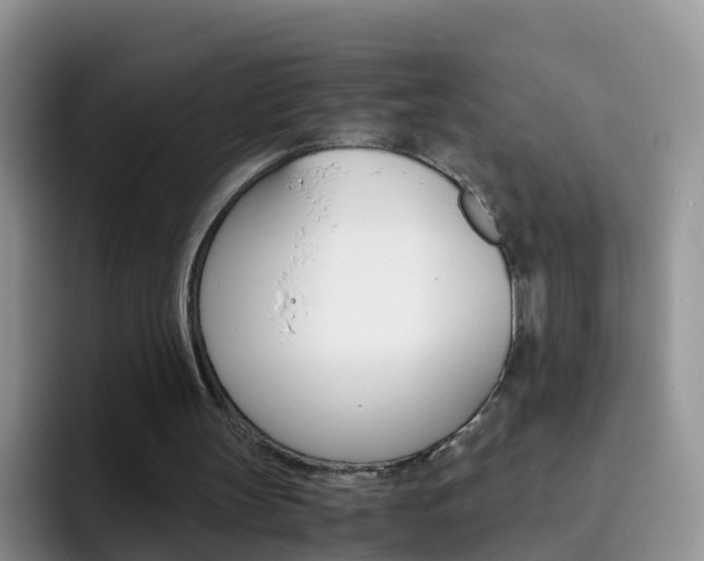 X0000092290147200709140947