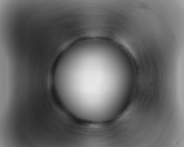 X0000092290164200709140947