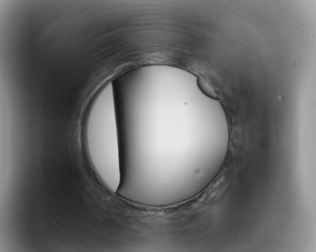 X0000092290194200709140947