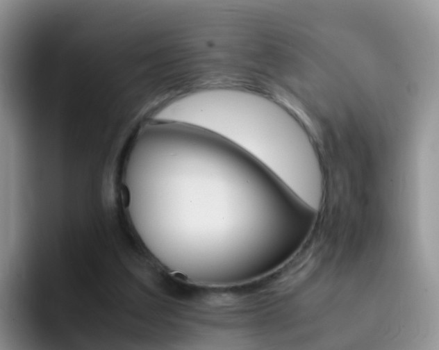 X0000092290203200709140946