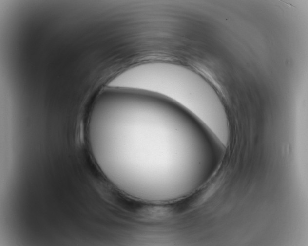 X0000092290205200709140946